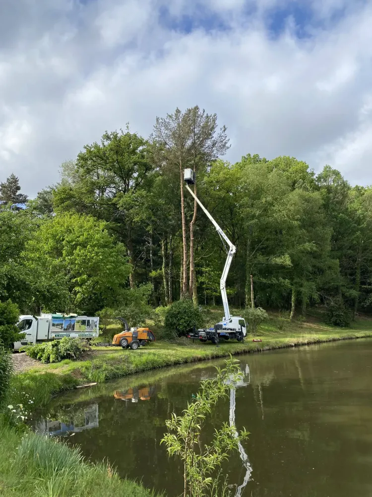 Abattage près de Limoges